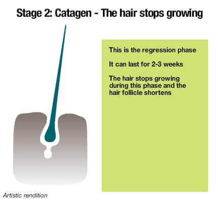 Minoxidil Shedding: Increased Hair Fall In First Month Of Using Minoxidil?